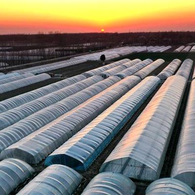 慧谷河南尉氏基地