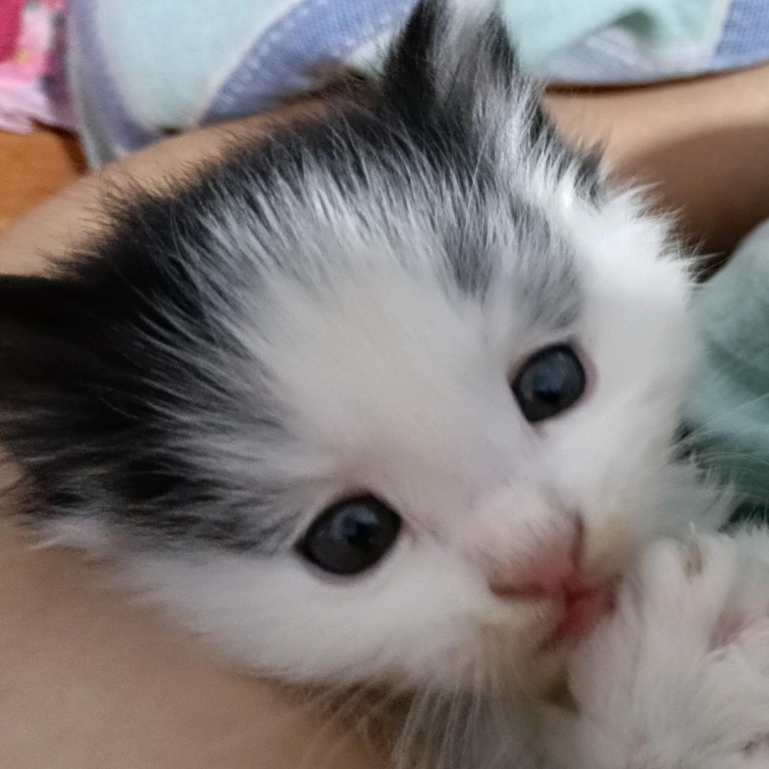 ❤️woLOVElin❤️