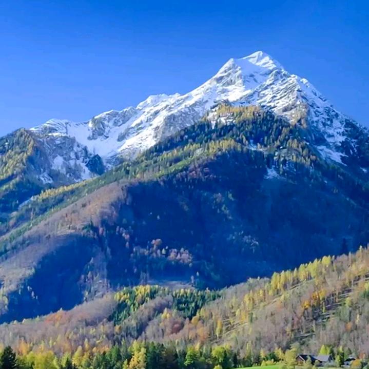 忘记过去，从新开始