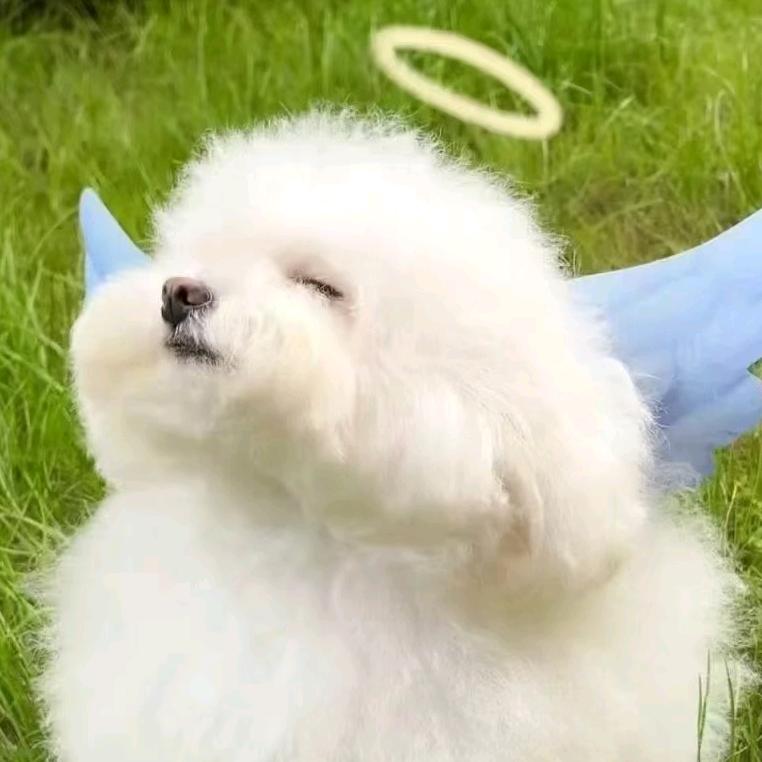 天天妈咪要暴富