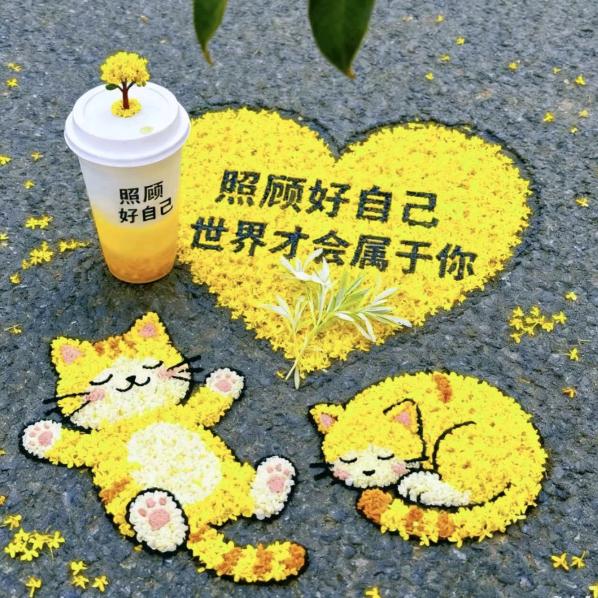 抖音168
