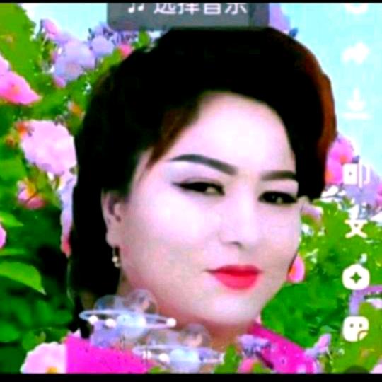 gulum 网红