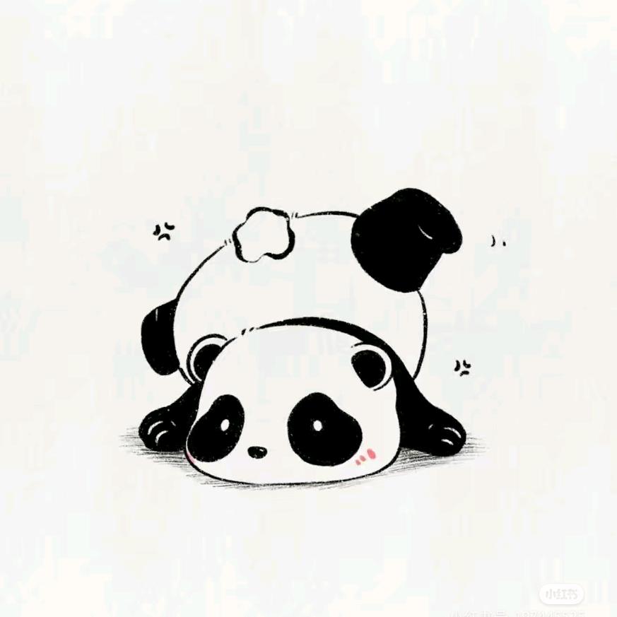 骑着王八追兔子🐇