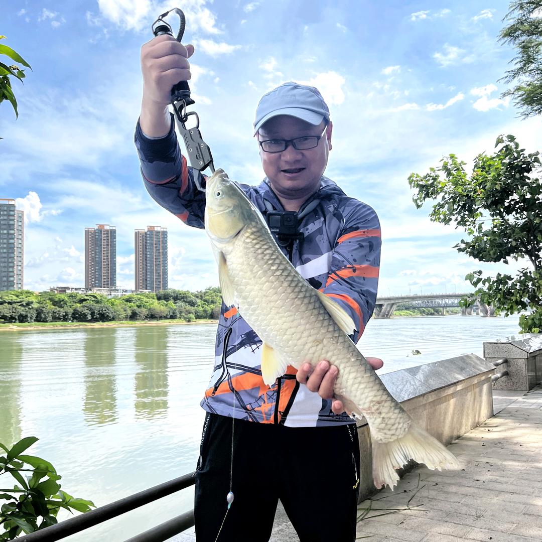 咸鱼测饵