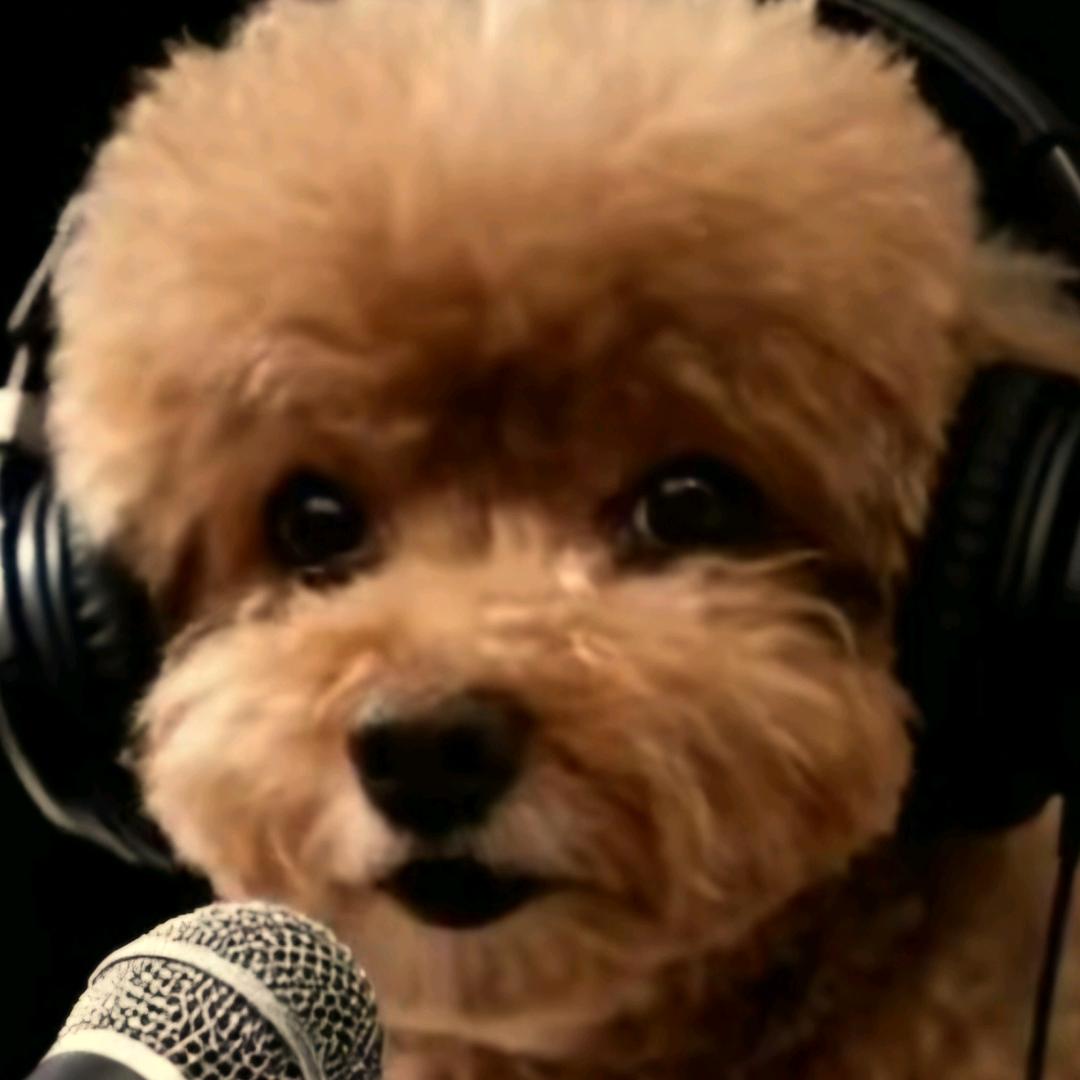 当当·WE·🍀🍀