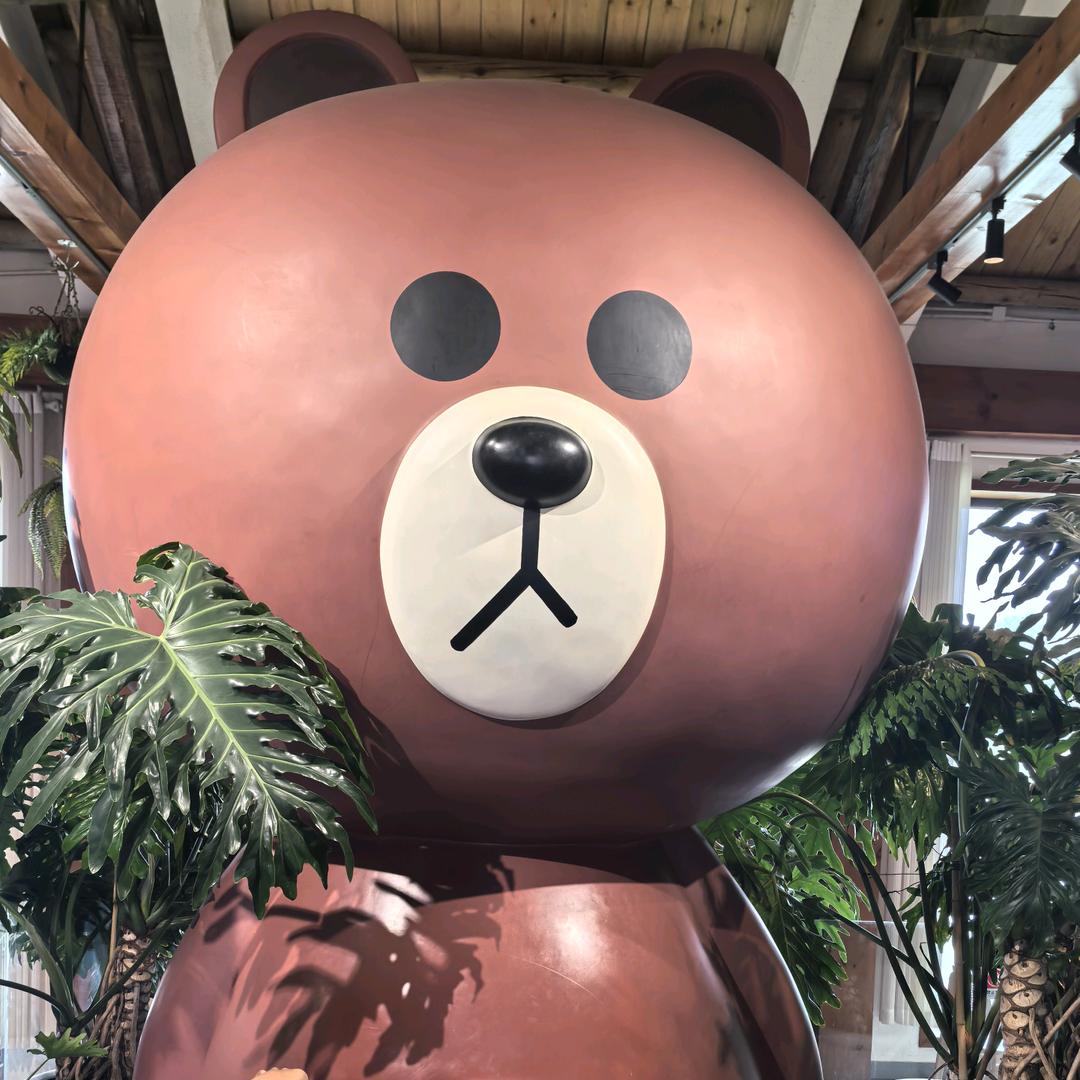 日照新青年 之 日落到日出╰