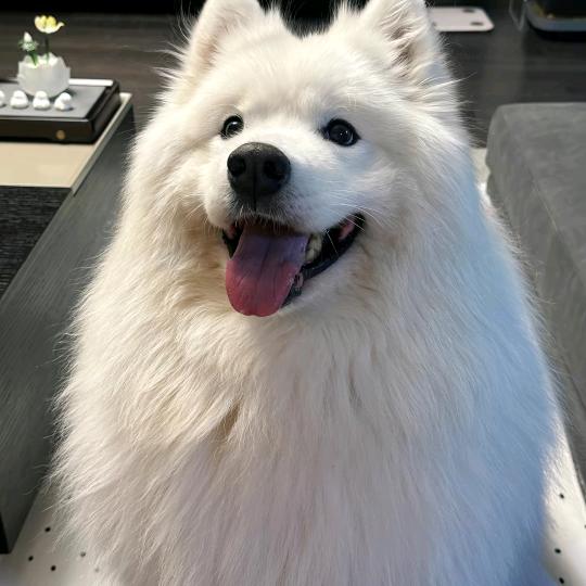 陈万w