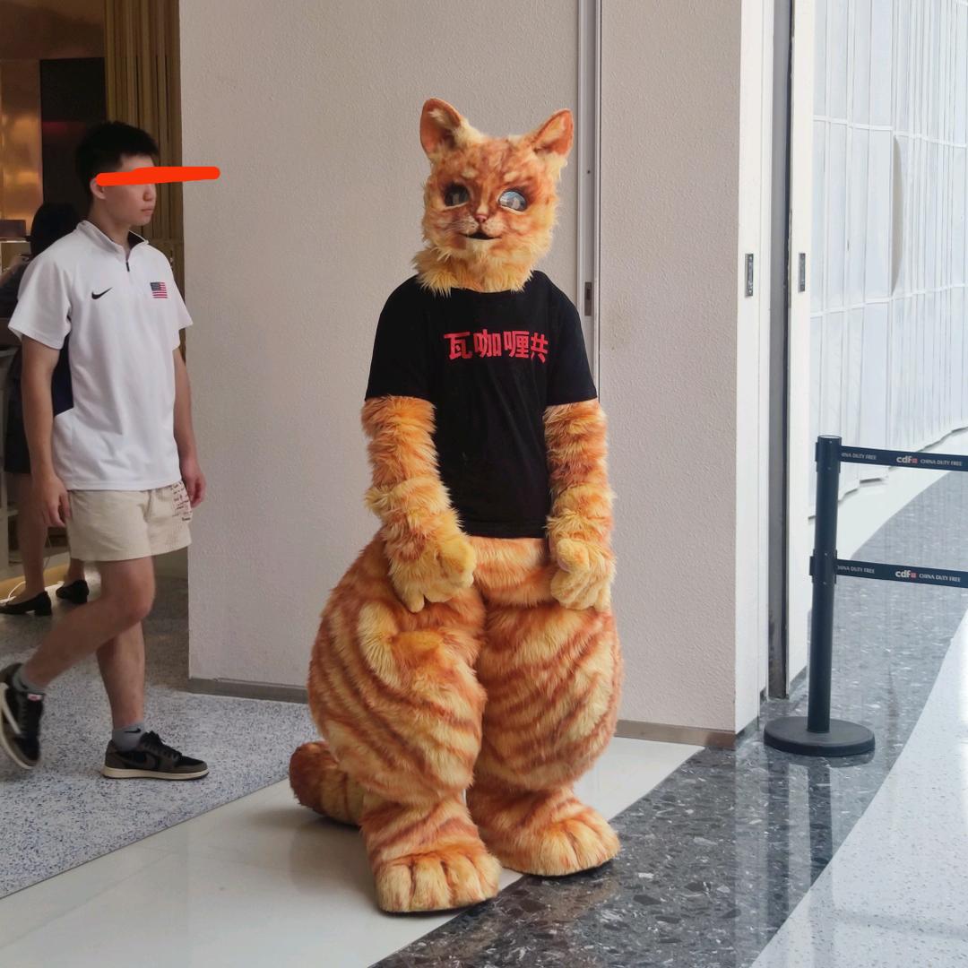 zwszws_