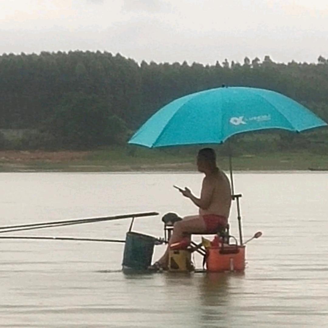 光头毅