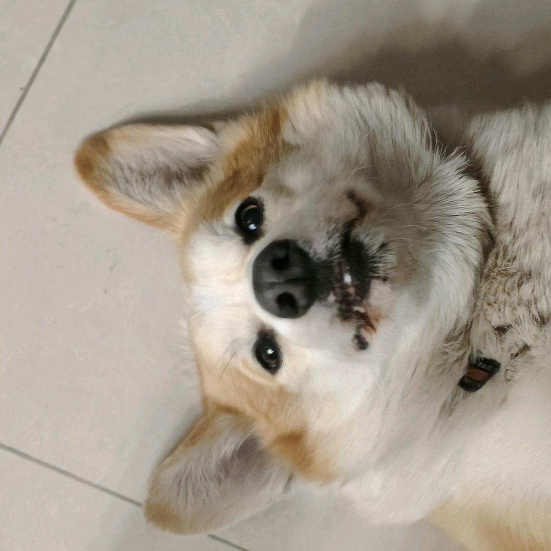 万事顺意