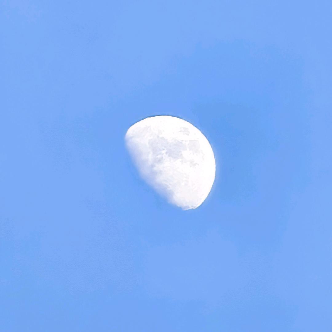 月光骑士