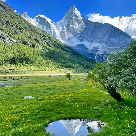 经开区语云木百货