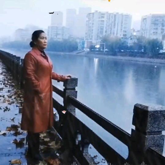 凤姐