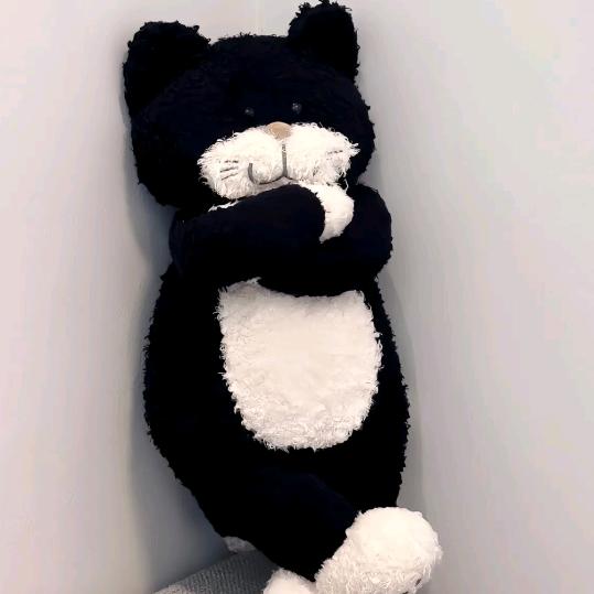 P`A赏金的女王p.. g