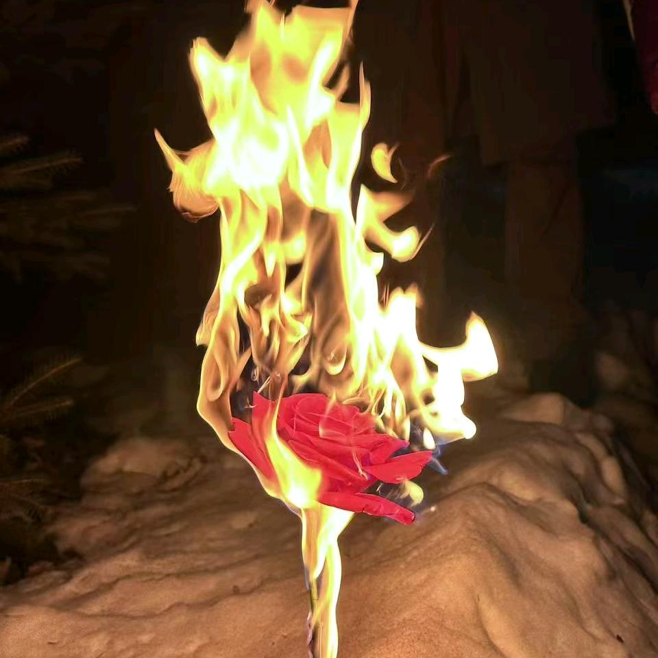 樱堇穆