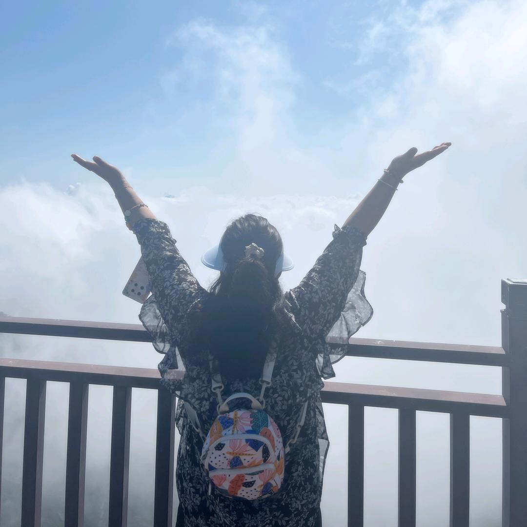 Hello，树小姐