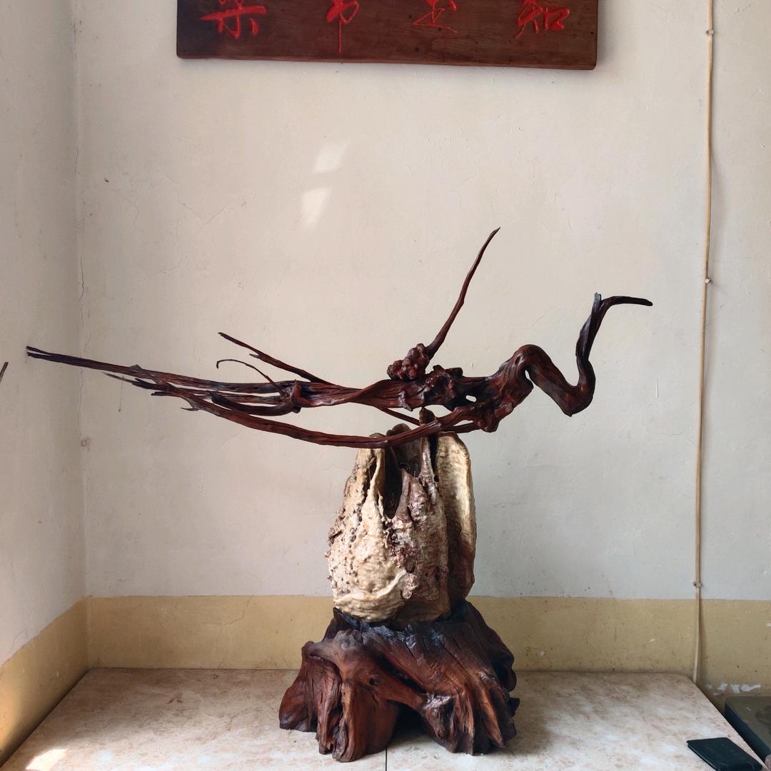 锦屏山庄，根艺，黑猪，土鸡