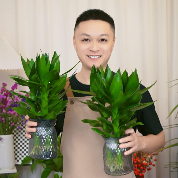 大福家绿植基地