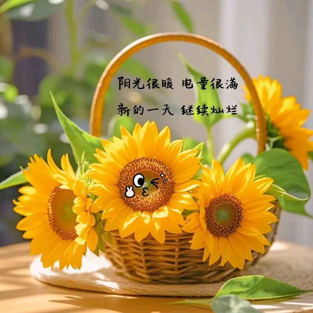 ❦七❧❦七❧❦