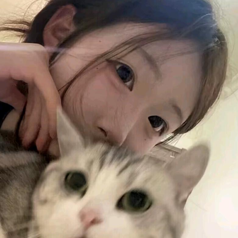 桉柔.