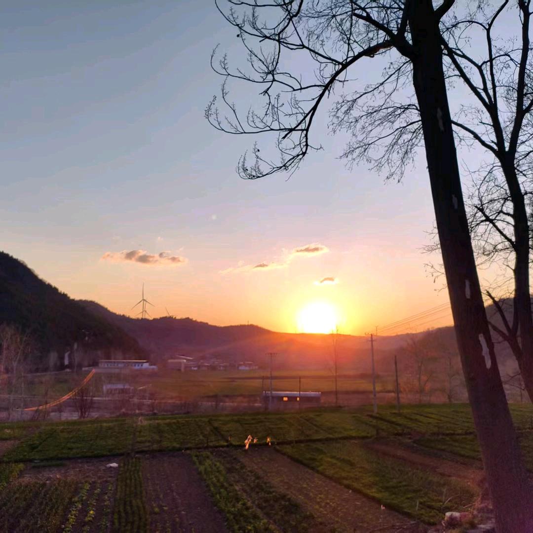 红太阳☀