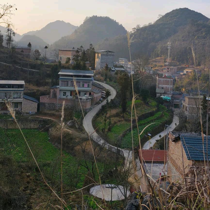 ꧁单☆身☆꧂！﹋