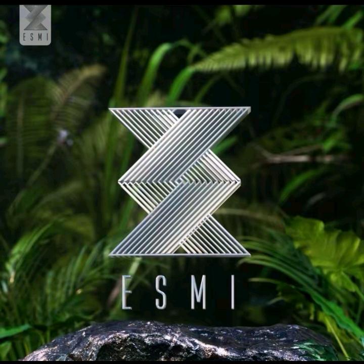 Esmi酒吧营销~小申