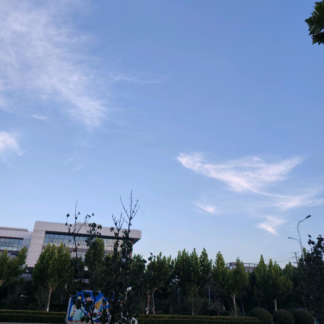 小刘同学