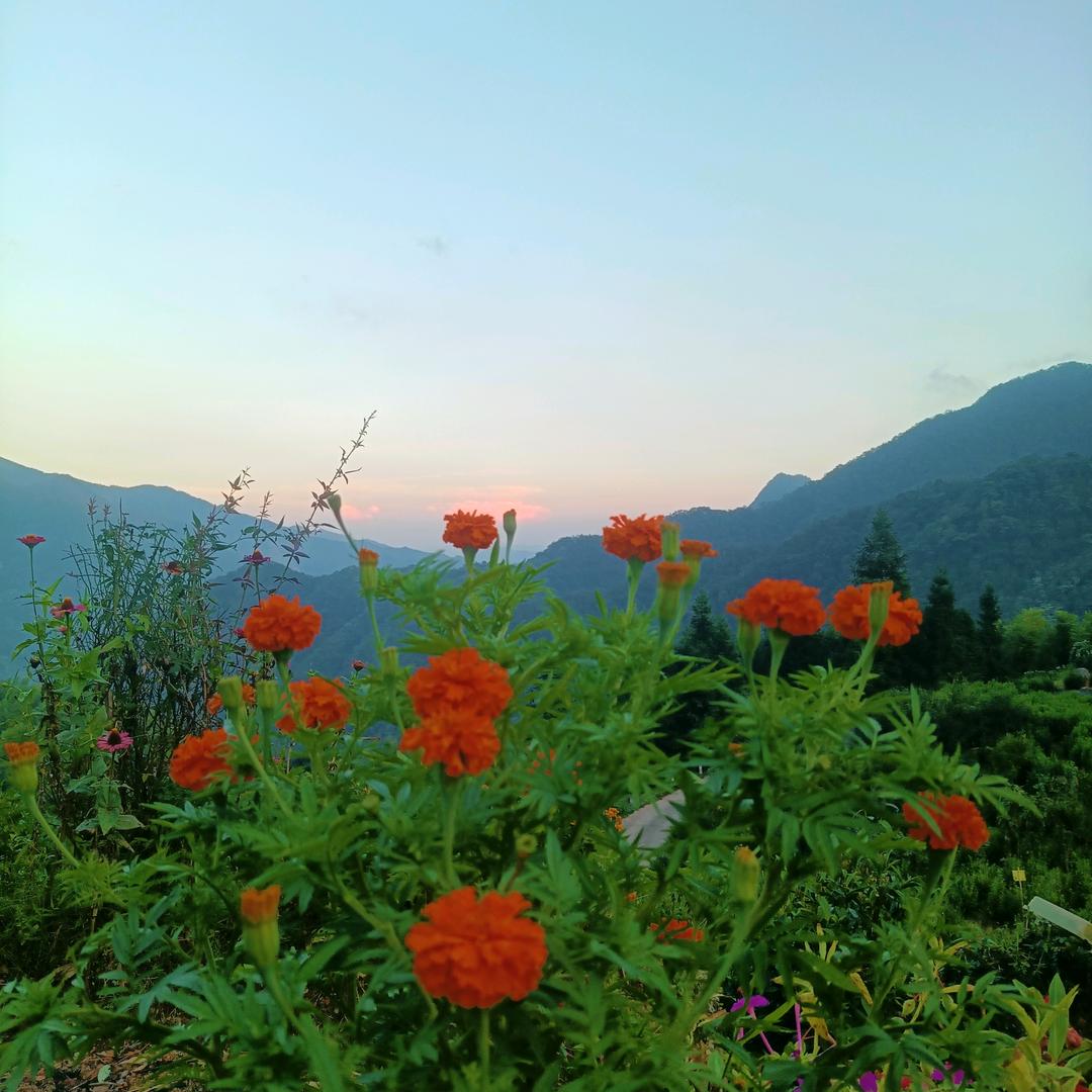 山噶啦的风景✈️