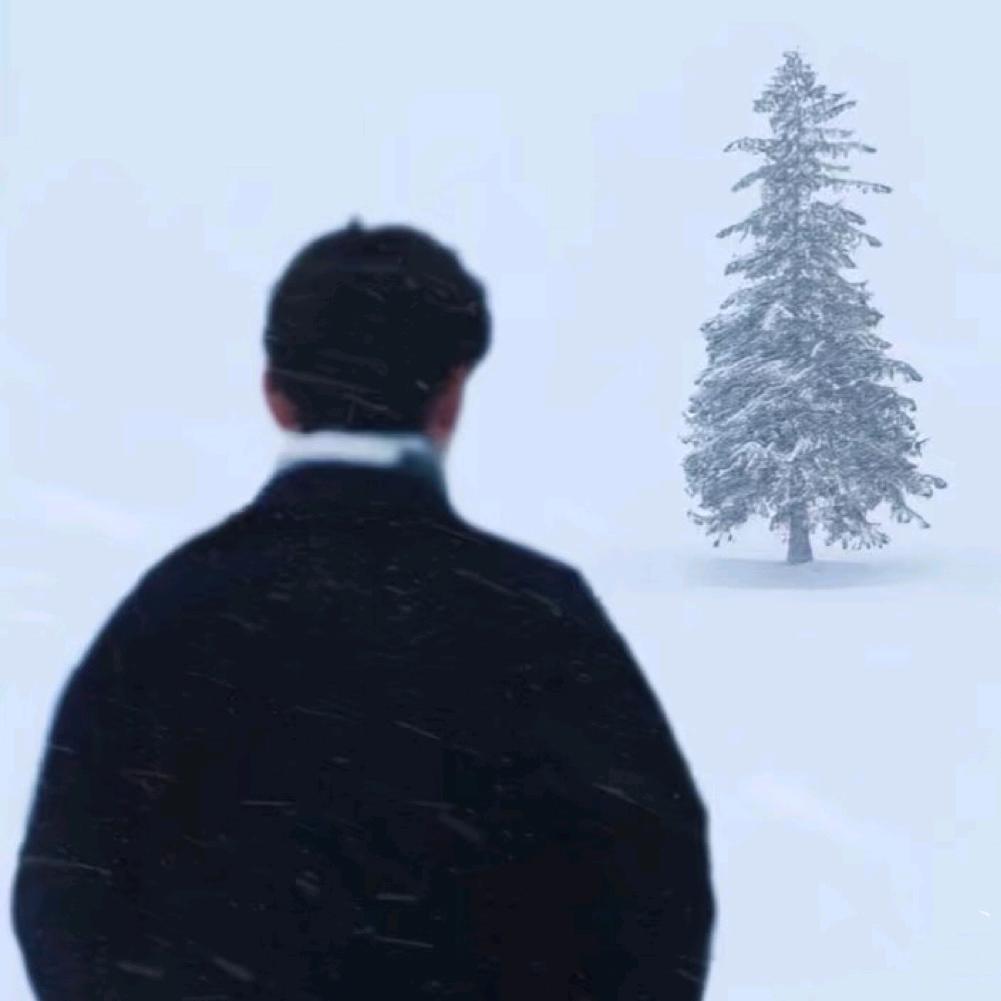 阿辰的芦荟和仙人掌基地