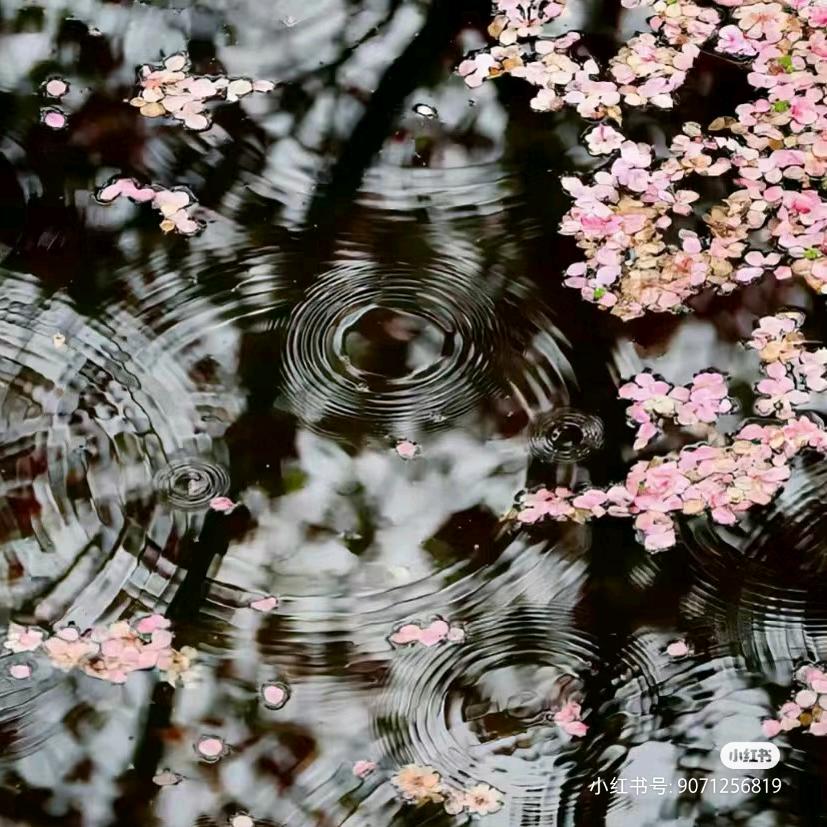 封神榜寻妖