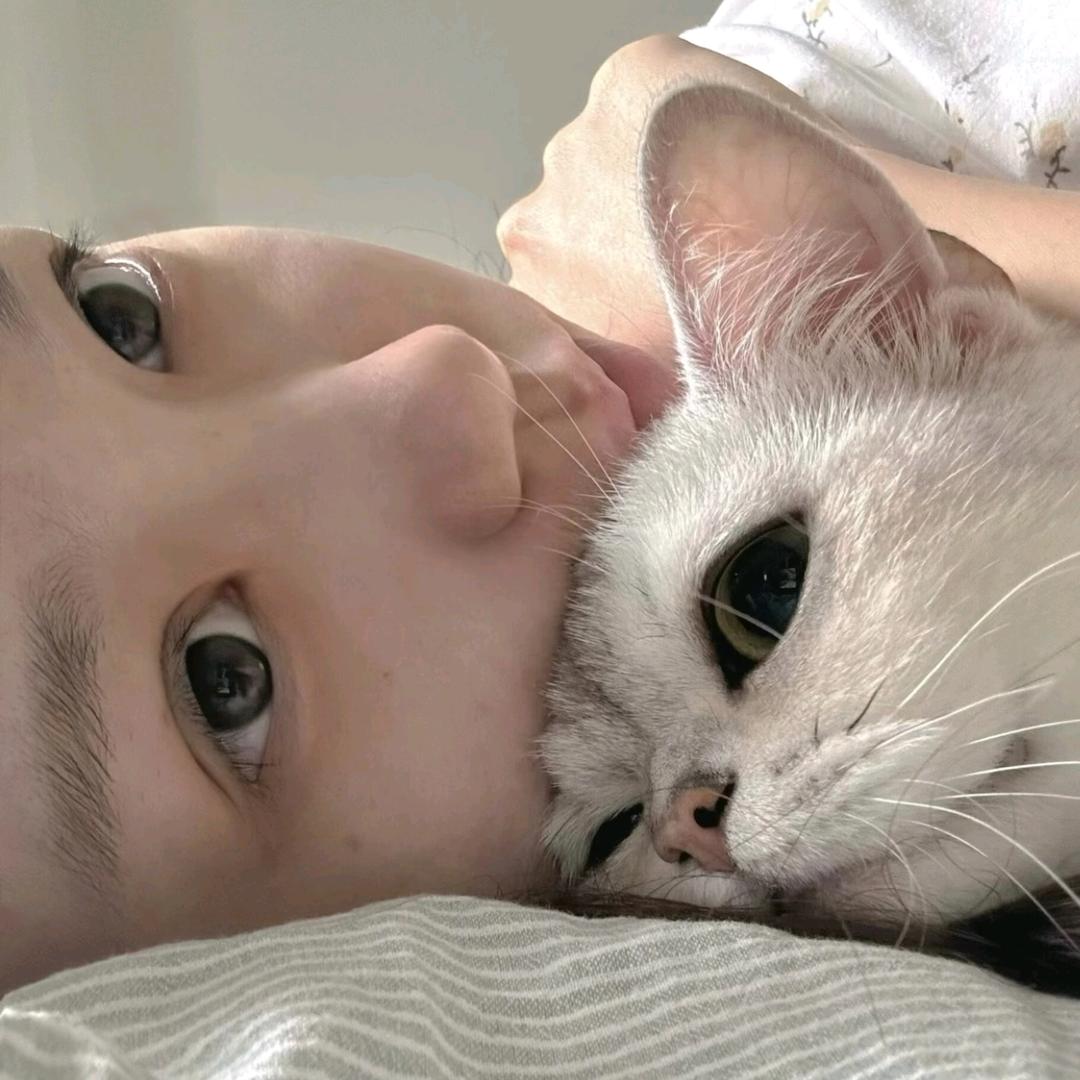 yyu