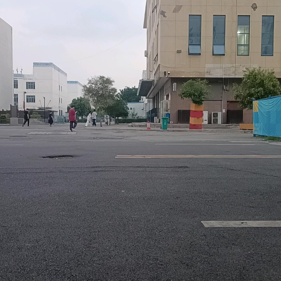 小苹果