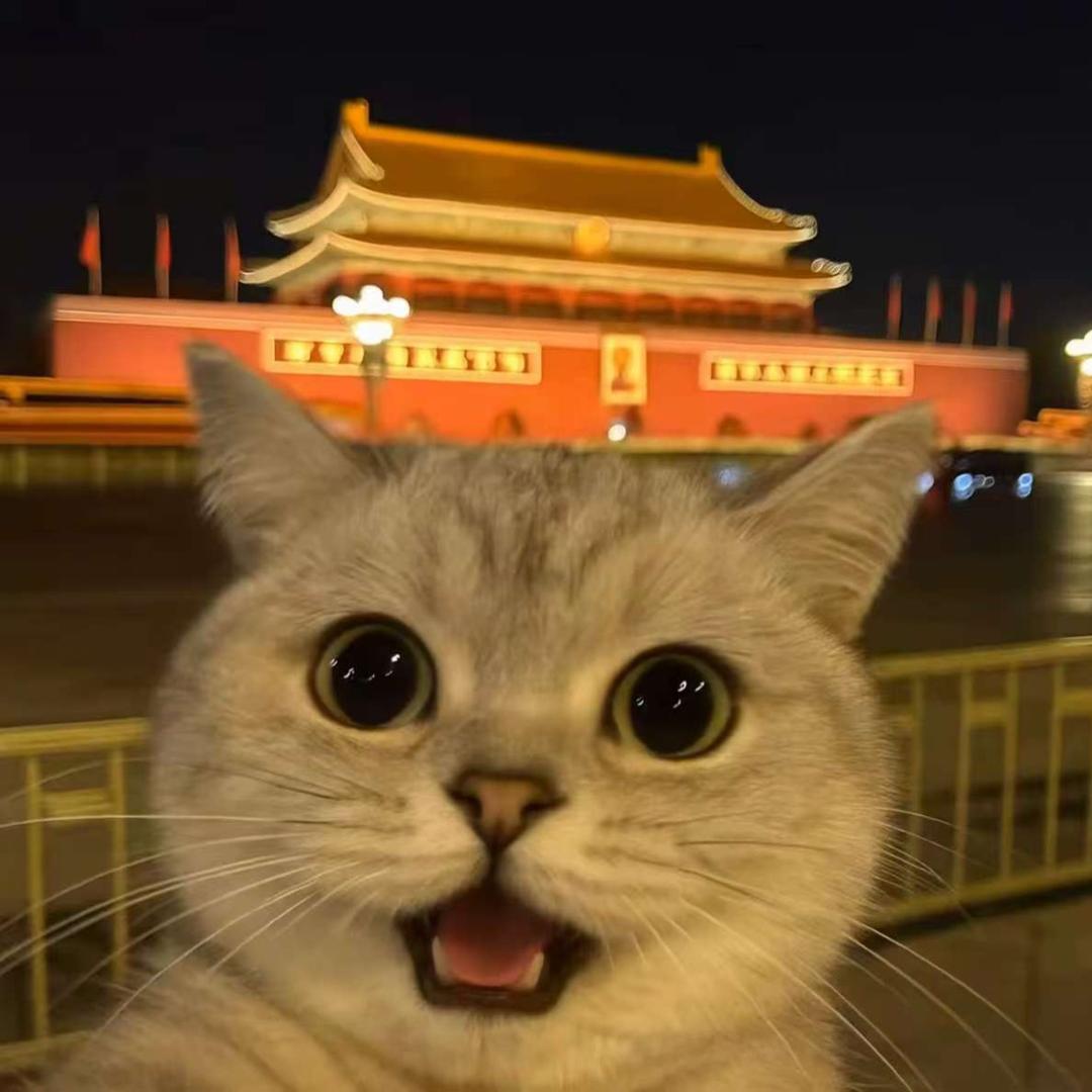 小猪🐱