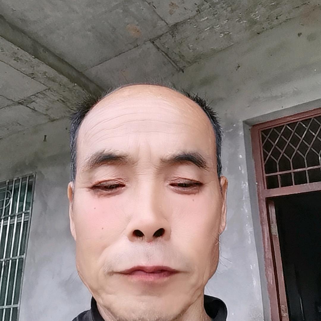 陈红
