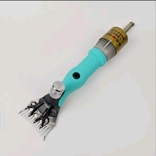 江苏小东专业剪羊毛