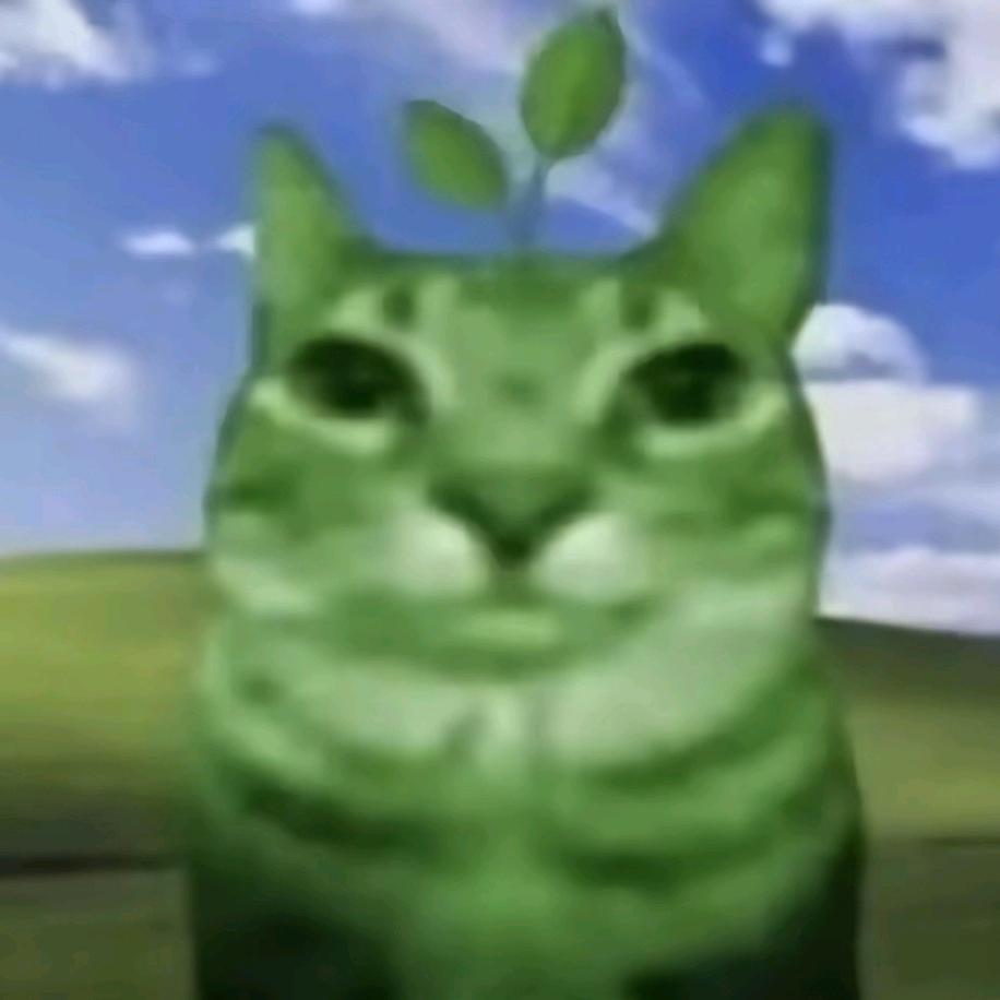 勤劳勇敢的皮皮。。