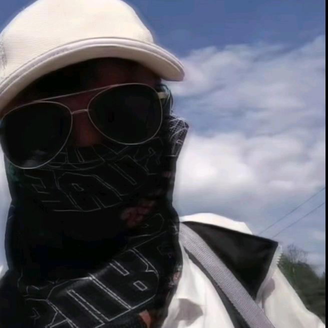 特级空军大师  严老师