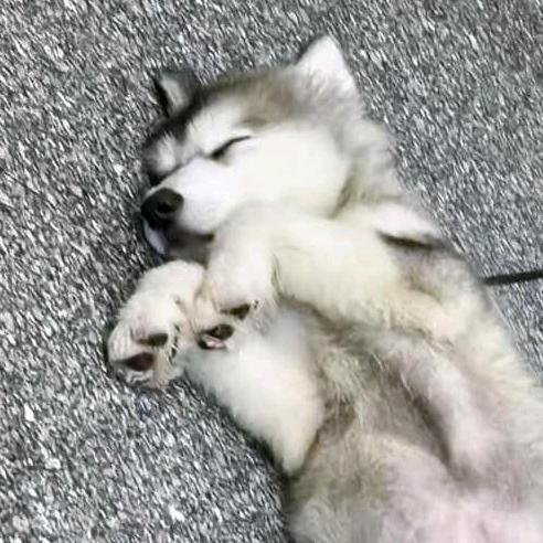 点点点
