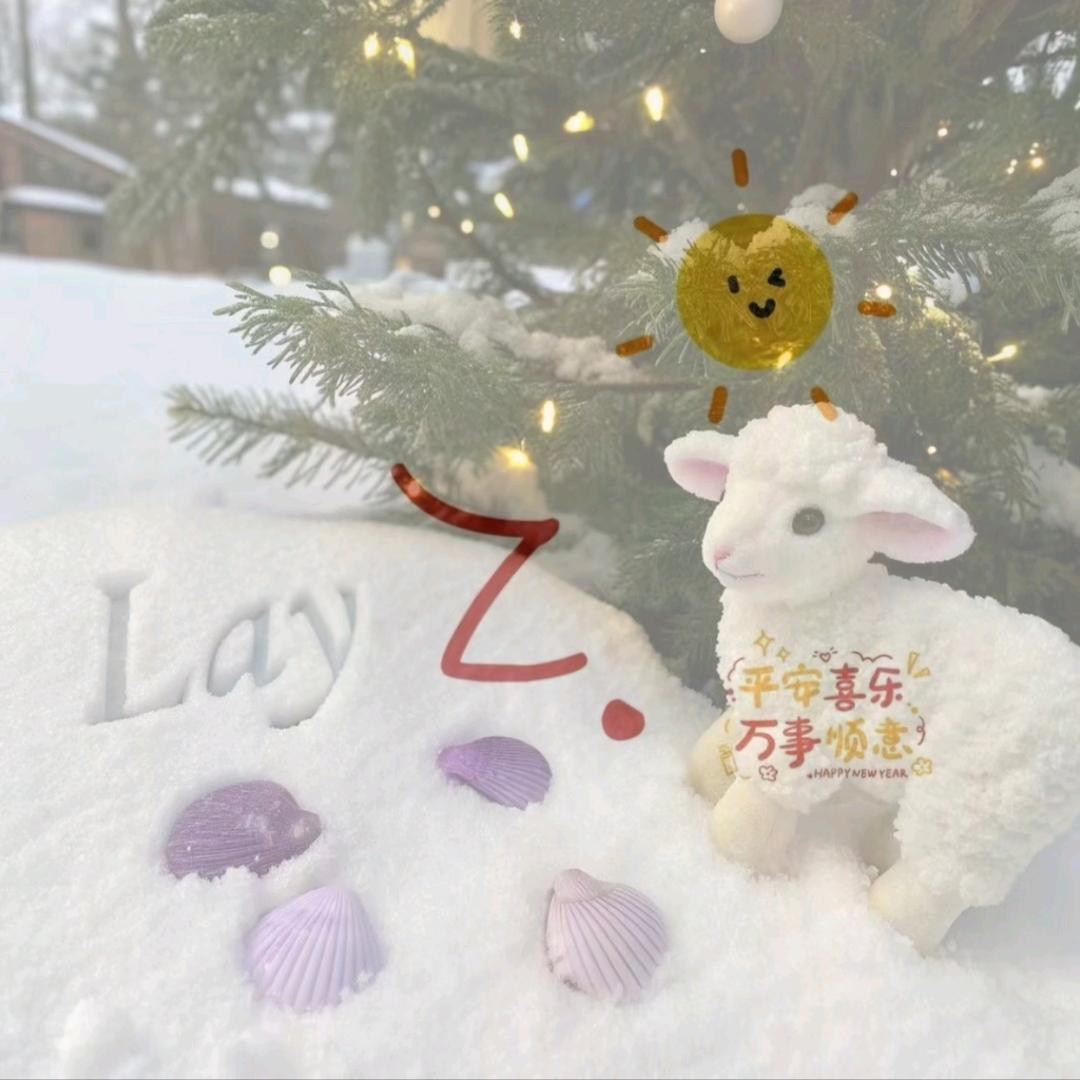 张艺兴的💕贝壳女孩💕