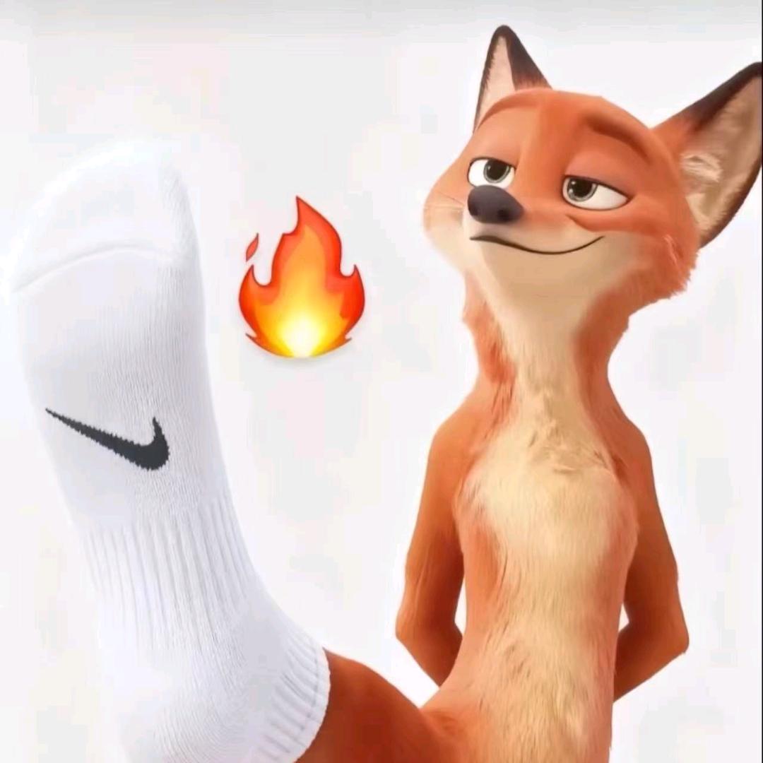 晨橙