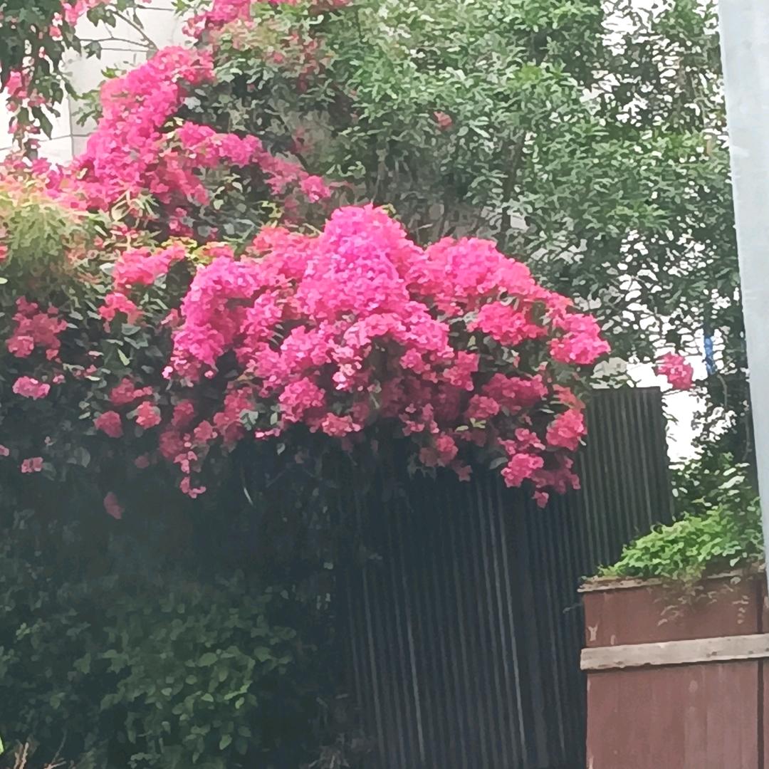 快乐过好每一天