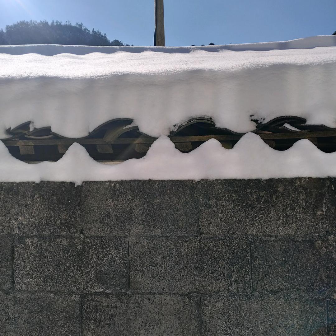 夏雪
