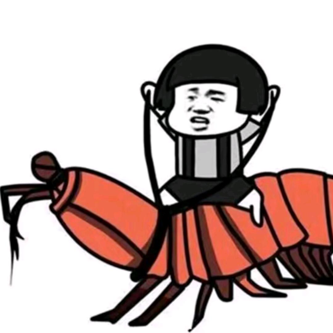搞笑视频