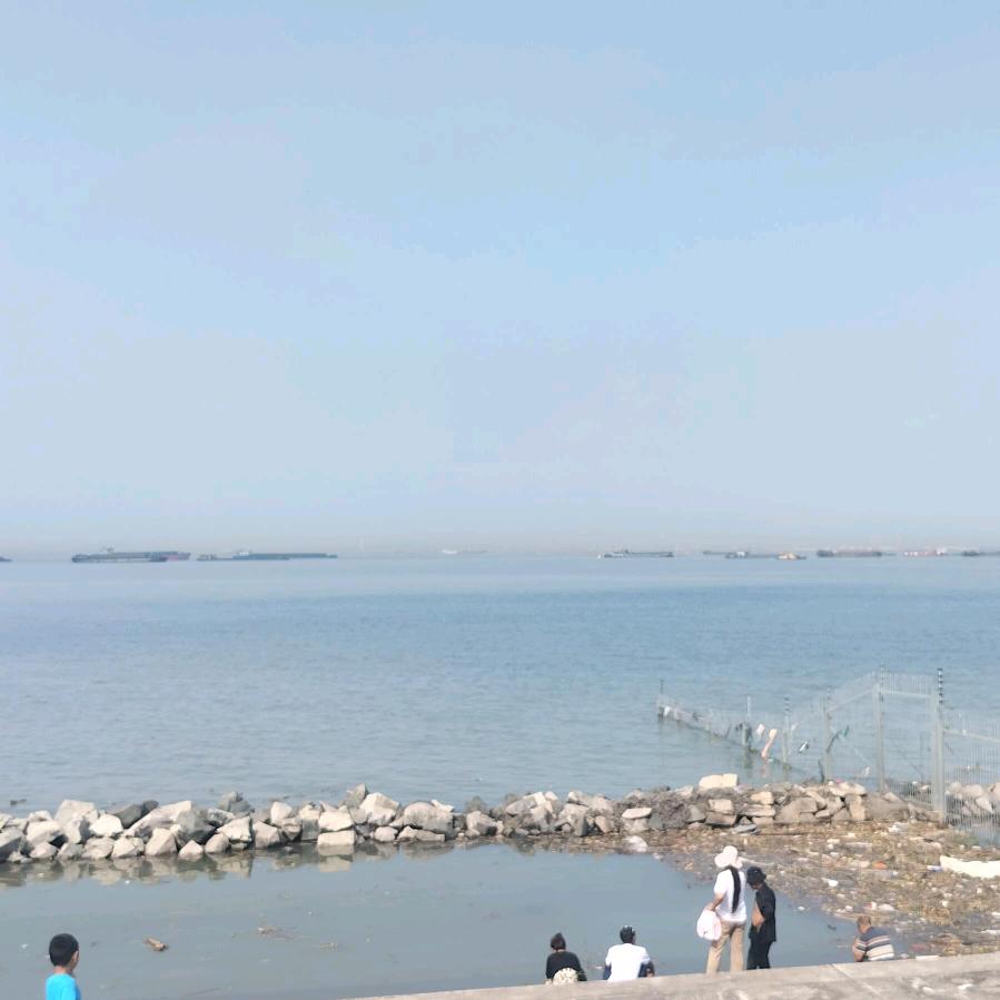 如鱼得水