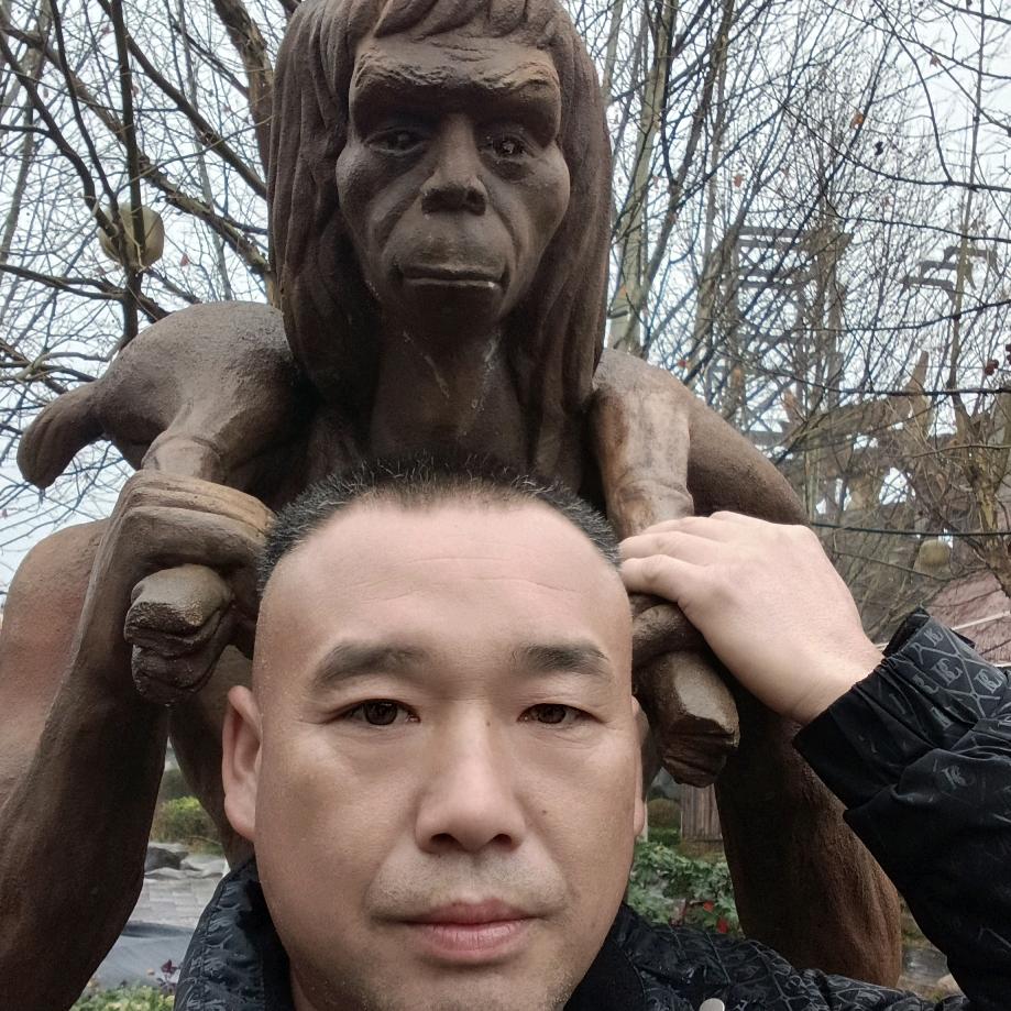 向杨波丹烨睿