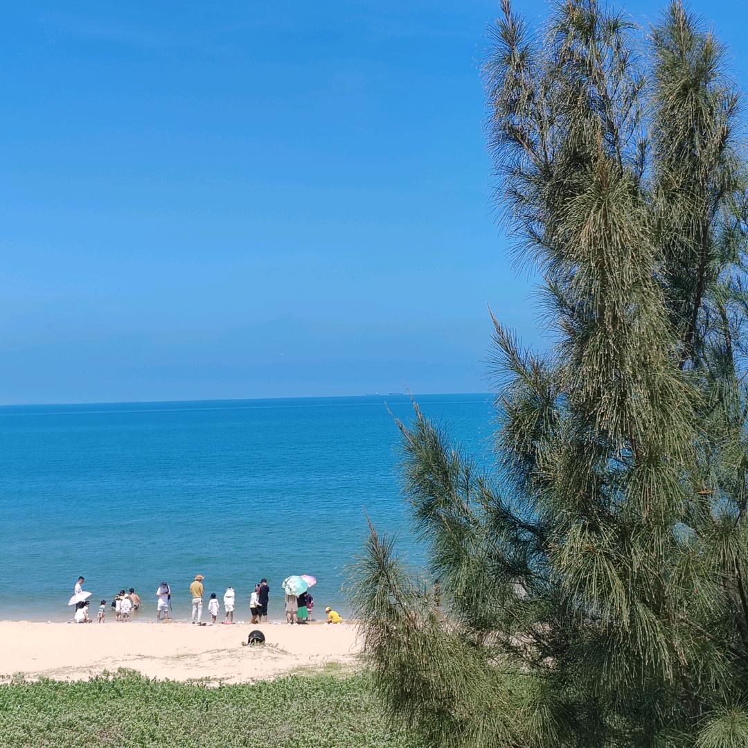 🌈小椰子在努力