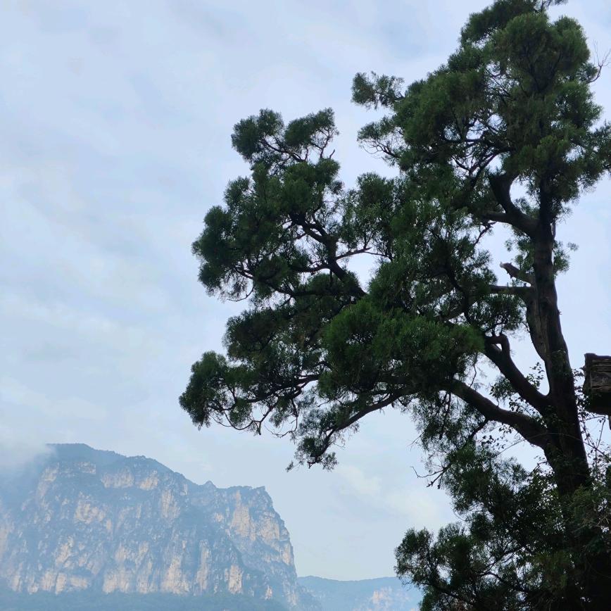 卓日汽车洗美店