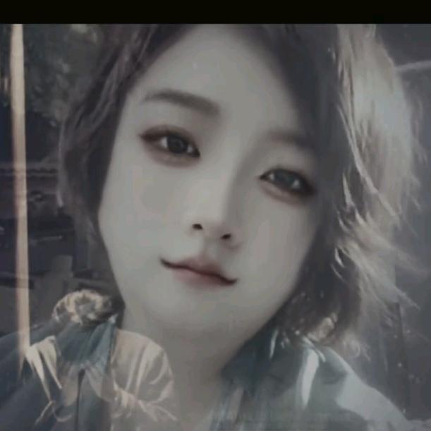 2024 _WenJuAN