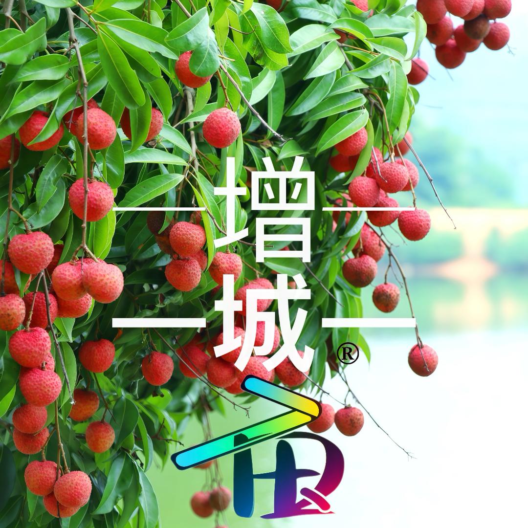 7亩良田